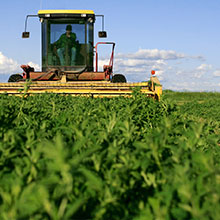 Agricultural Economics and Agribusiness